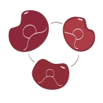logo mpn verbindt logo mpn verbindt